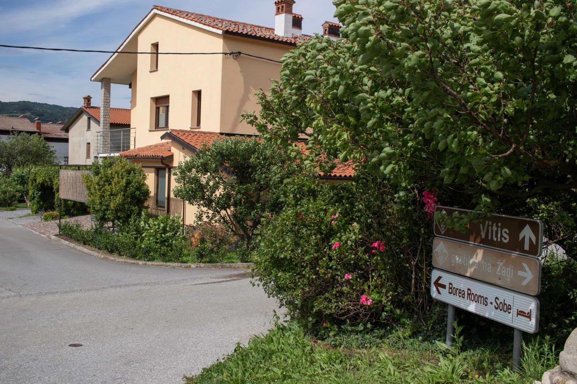 Borea Rooms - Sobe Budanje Vipava Exterior photo