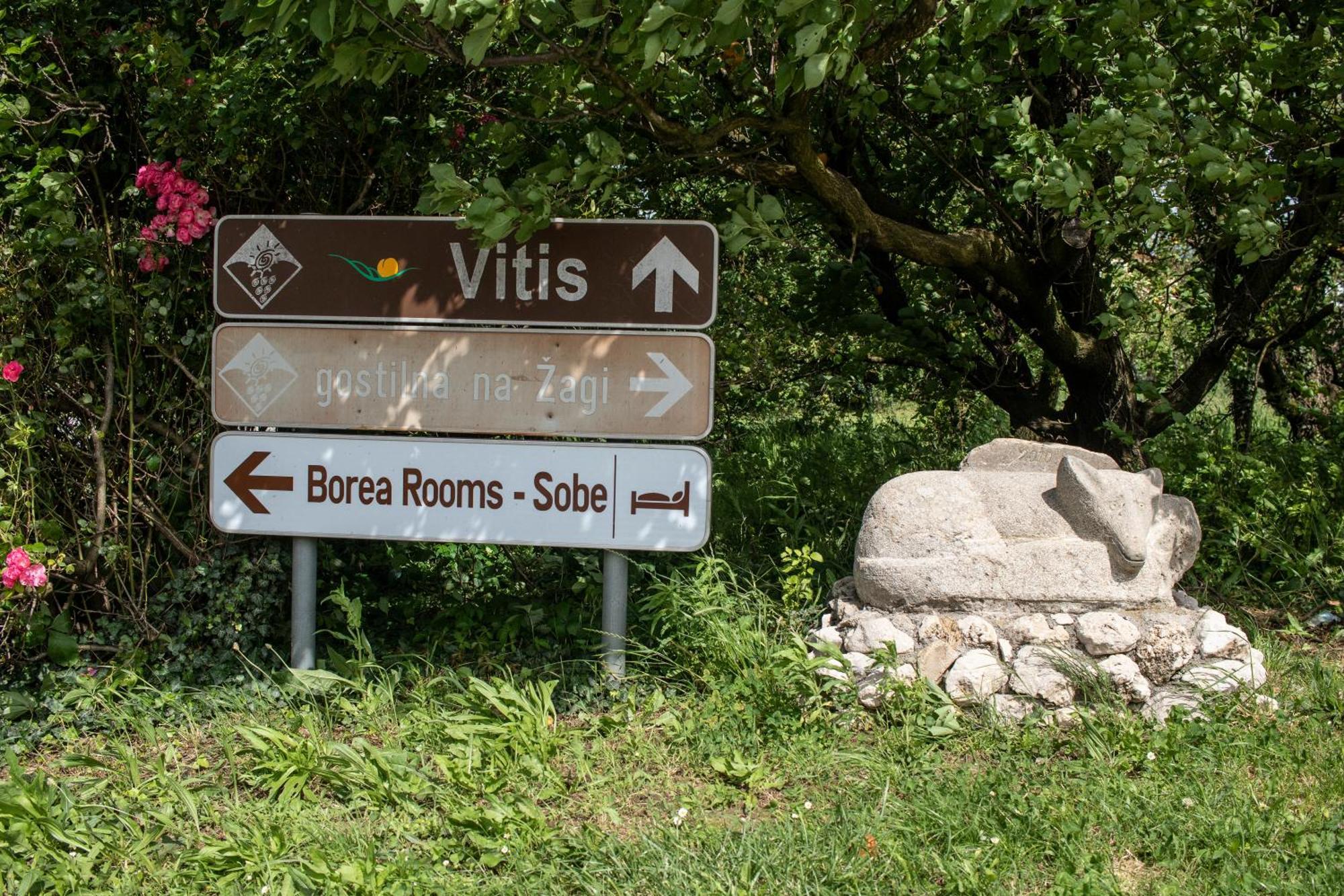 Borea Rooms - Sobe Budanje Vipava Exterior photo