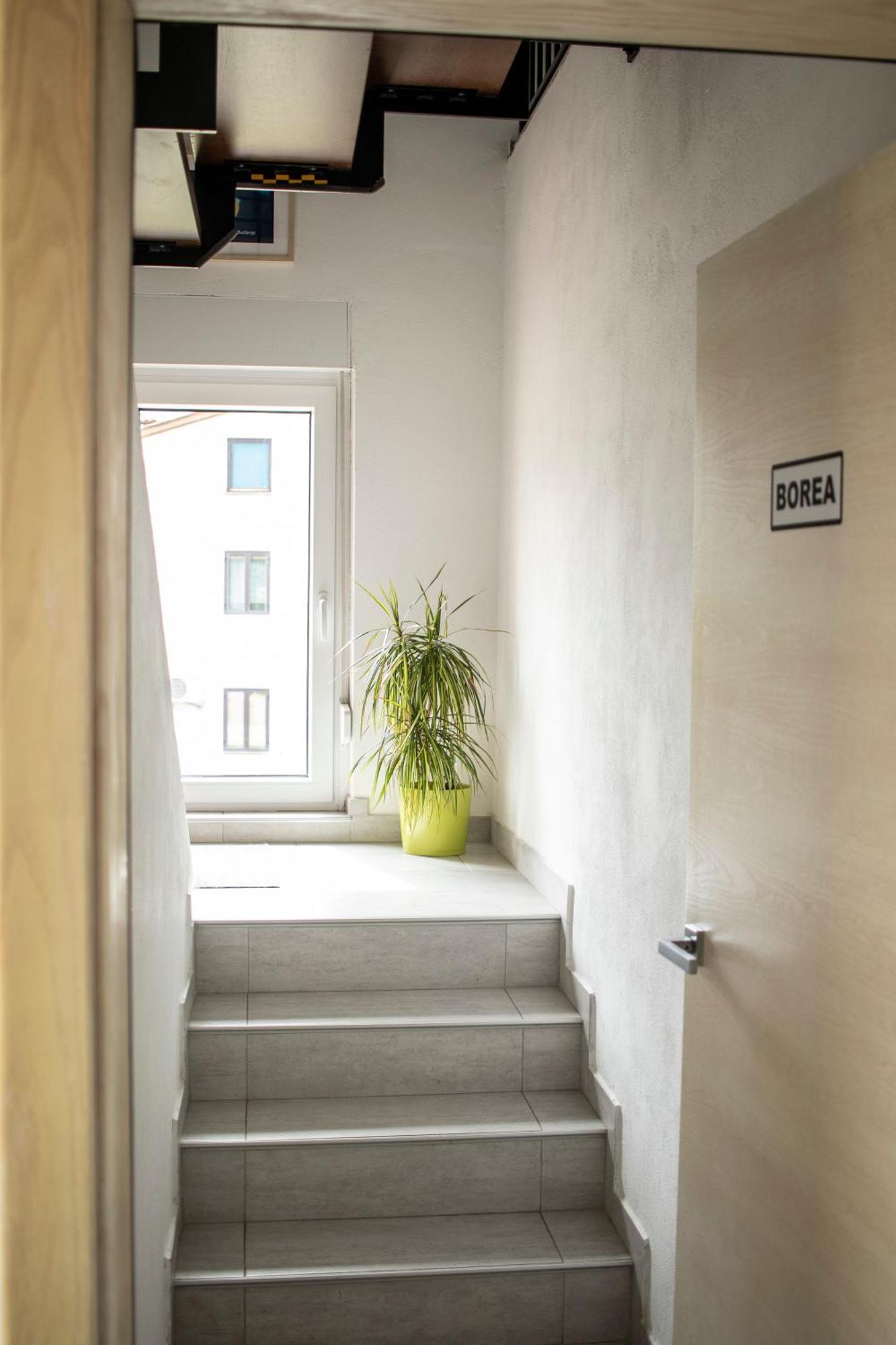 Borea Rooms - Sobe Budanje Vipava Exterior photo